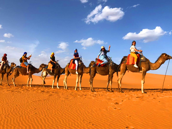 Tour privado de 14 dias desde casablanca al desierto de merzouga via Marrakech