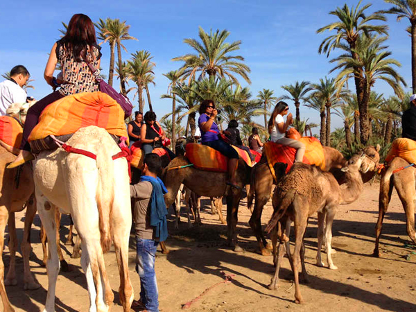 Paseo en camello al atardecer en el palmeral de Marrakech