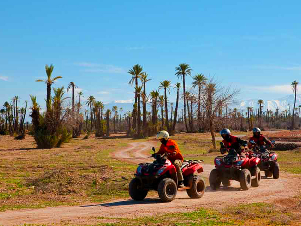 Safari en quad en el palmeral de Marrakech