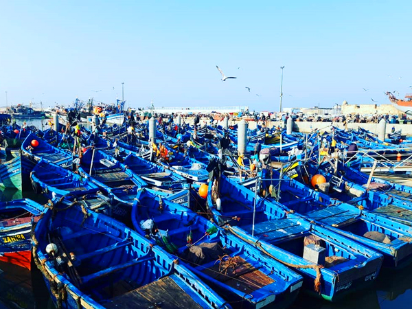 excursión de un día a essaouira desde marrakech